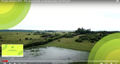 Curso D'Agua corta pastagens e mato na Área de Proteção Ambiental do Ibirapuitã