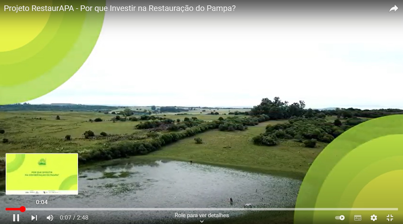 Curso D'Agua corta pastagens e mato na Área de Proteção Ambiental do Ibirapuitã